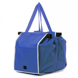 Pazarska-termo-canta-sina-1167070