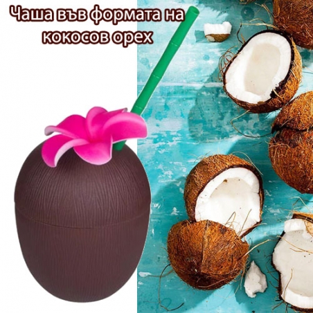 Casa-vv-formata-na-kokosov-oreh-5764