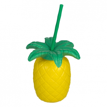 Plastmasova-casa-kapak-slamka-ananas-700-ml-1173714