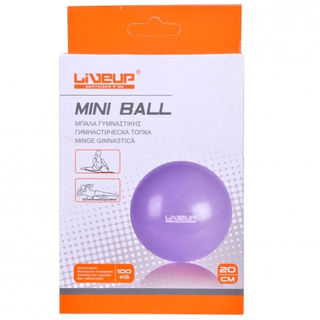Gimnasticeska-topka-20-sm-1134783