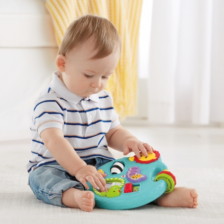Obrazovatelen-panel-zivotni-Fisher-Price-1173753