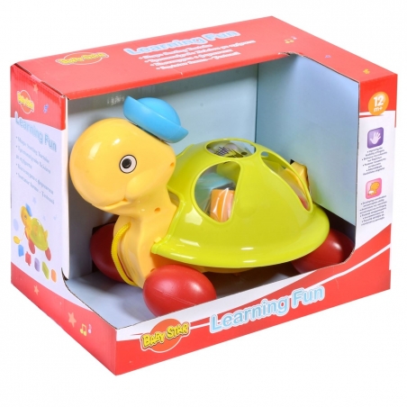 Igracka-za-podrezdane-kostenurka-1072758