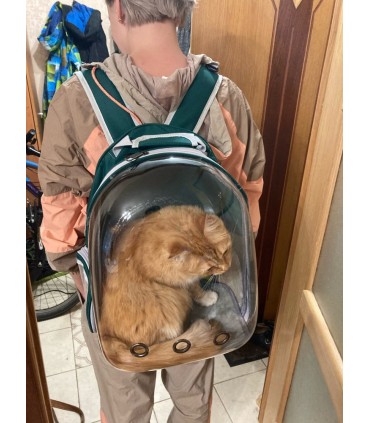 Раница за транспортиране и пренасяне на котки