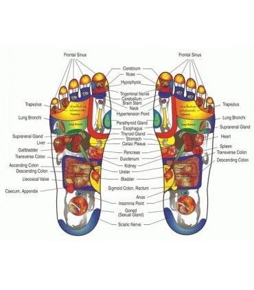 Пластири за детоксикация Kinoki Detox Pads 10 бр.