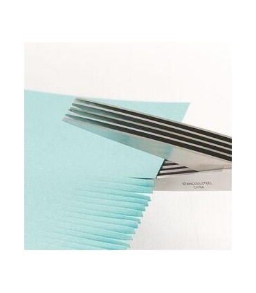 Ножица за подправки 5 остриета