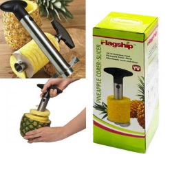 Ured-za-razane-na-ananas-1446