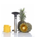 Ured-za-razane-na-ananas-1446