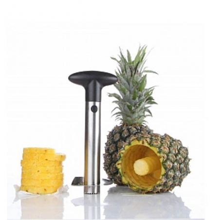 Ured-za-razane-na-ananas-1446