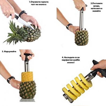 Ured-za-razane-na-ananas-1446