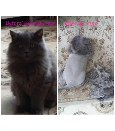 Безжична машинка за подстригване на домашни любимци Baorun