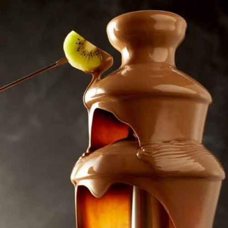 Sokoladov-fontan-4537