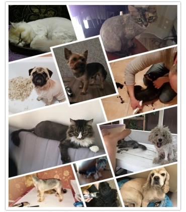 Професионана машинка за подстригване на кучета с керамичен нож и акумулаторна батерия Baorun P2