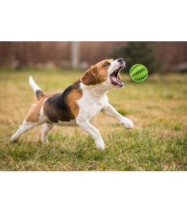 Дентална играчка топка 5 и 7 см.