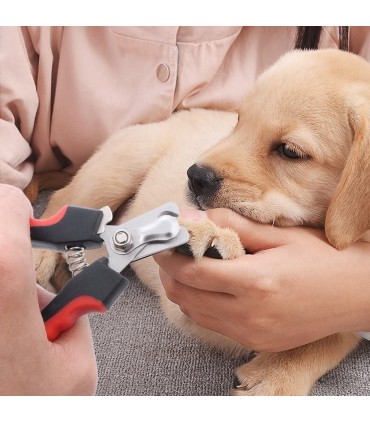 Нокторезачка и пиличка за нокти за кучета и котки