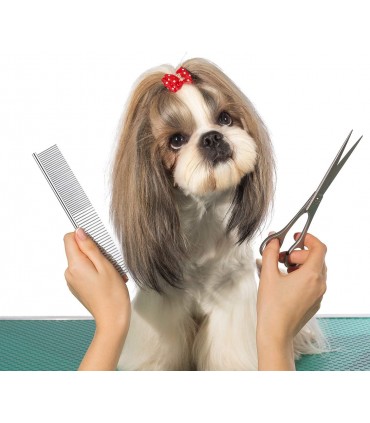 Метален гребен за разресване на кучета и котки