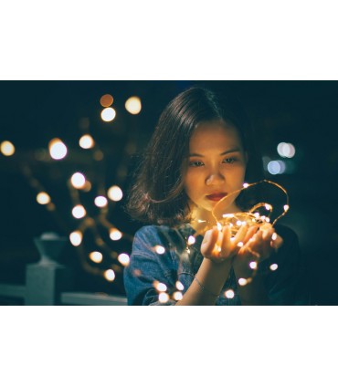 Светеща LED завеса с 200 или 300 лампички за Коледа