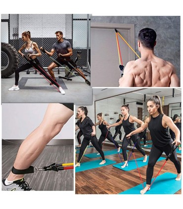 Тренировъчни ластици 11 части с натоварване до 45.3кг