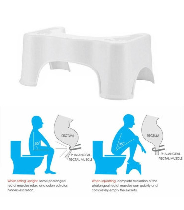 Тоалетно столче за лесно и правилно изхождане