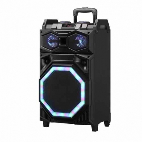 Akumulatorna-karaoke-tonkolona-LT-12A-15-inca-4336