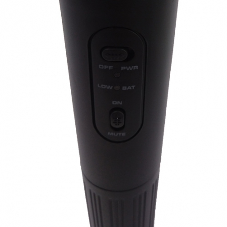 Sistema-za-karaoke-s-dva-bezzicni-mikrofona-priemnik-WG58II-3802