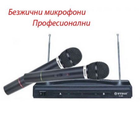 Sistema-za-karaoke-s-dva-bezzicni-mikrofona-priemnik-1077