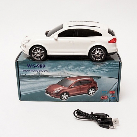 MP3-FM-UBS-prenosima-kolona-WS-989-kola-3414