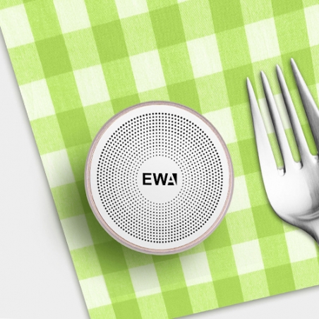 Kolonka-s-Bluetooth-EWA-A103-3036