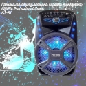 Prenosima-akumulatorna-karaoke-tonkolona-FEIYIPU-Professional-Audio-ES-81-s-mikrofon-3577
