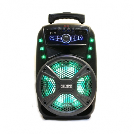 Prenosima-akumulatorna-karaoke-tonkolona-FEIYIPU-Professional-Audio-ES-81-s-mikrofon-3577