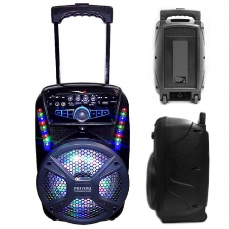 Prenosima-akumulatorna-karaoke-tonkolona-FEIYIPU-Professional-Audio-ES-81-s-mikrofon-3577