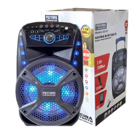 Prenosima-akumulatorna-karaoke-tonkolona-FEIYIPU-Professional-Audio-ES-81-s-mikrofon-3577