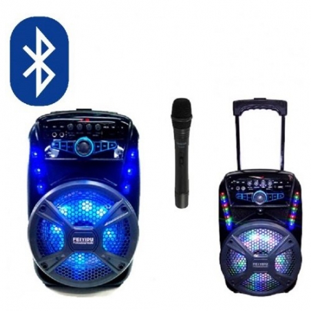 Prenosima-akumulatorna-karaoke-tonkolona-FEIYIPU-Professional-Audio-ES-81-s-mikrofon-3577