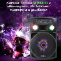 Karaoke-Tonkolona-MBA15L-s-cvetomuzika-dva-bezzicni-mikrofona-i-usilvatel-4509