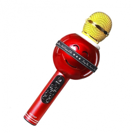 Karaoke-mikrofon-WSTER-WS-878-3565