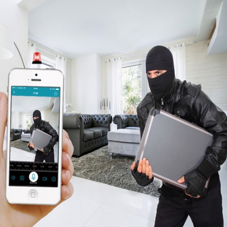 Panoramna-kamera-tip-kruska-Panoramic-Camera-Light-2816